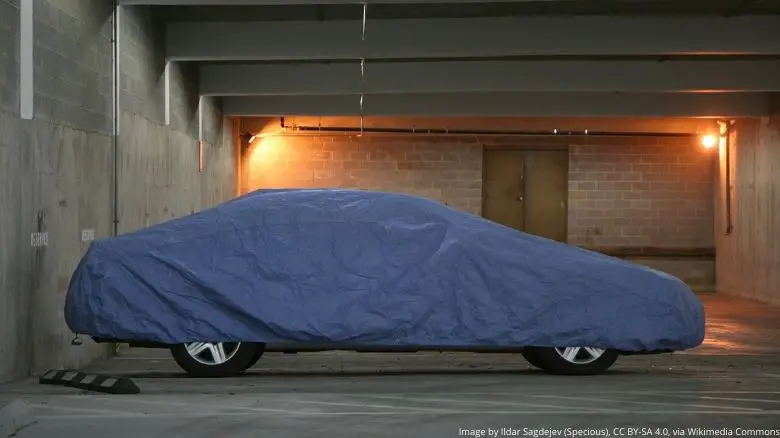 Indoor car cover